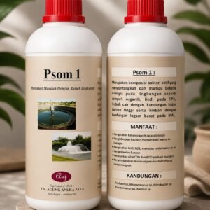PSOM 1